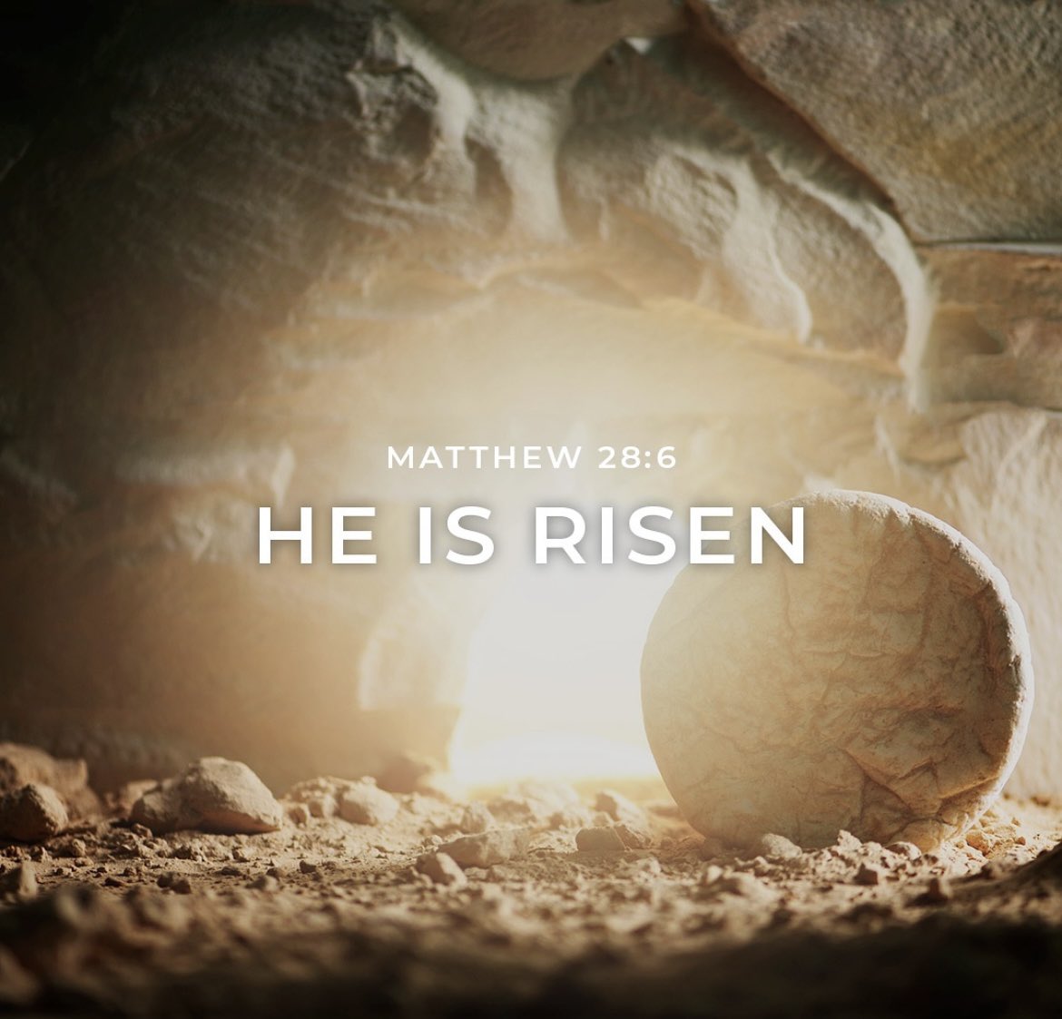 mr_Alsheimer's tweet photo. The world looked for a warrior King.  

My King came as a baby. 
My King lived a humble life.
My King did miracles. 
My King sacrificed himself for me.
My King wore a crown of thorns for me.
My King died for me.

When the world thought it was over… 

“My King is risen indeed.” https://t.co/pmtsXsIDm1
