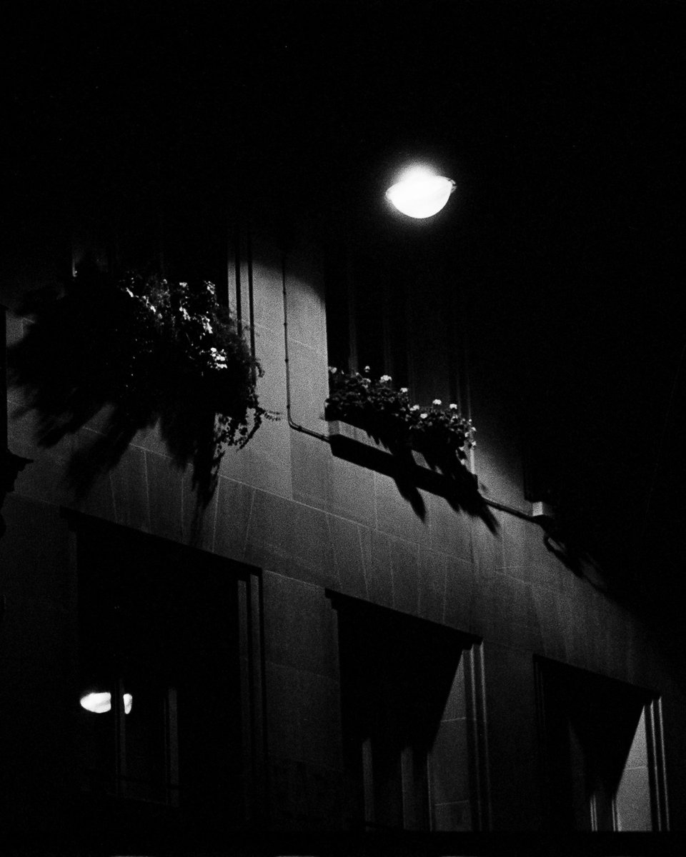 adre 🎞 tweet media