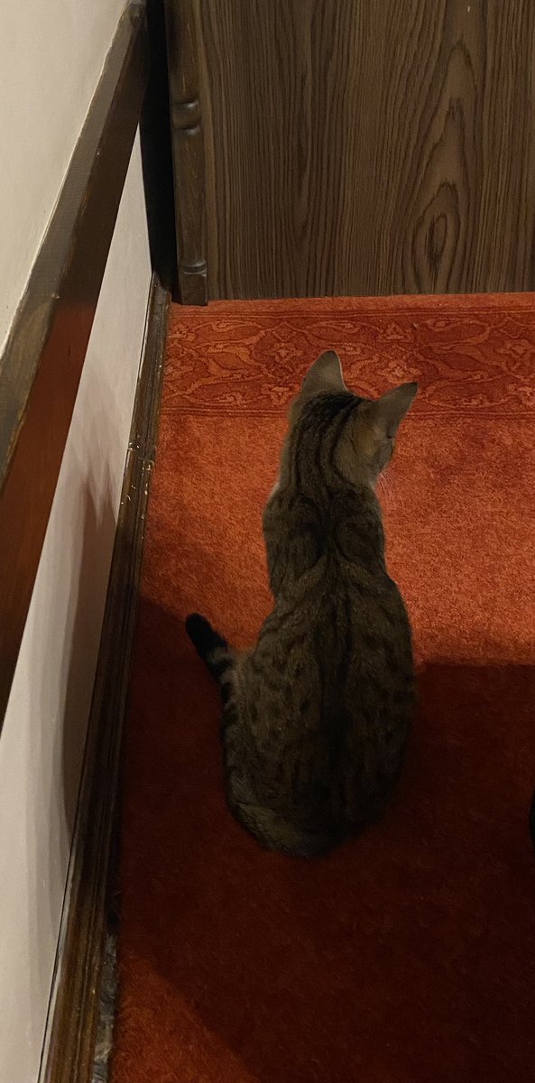 ‘Esselamu aleyküm ve rahmetullah.’