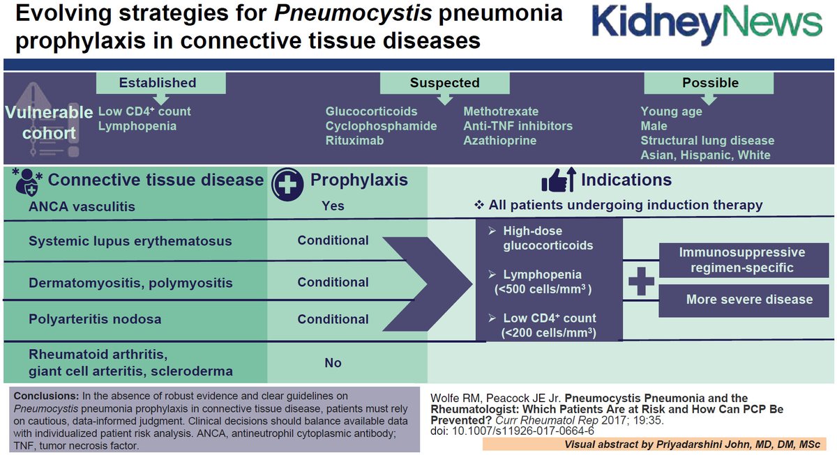 ASN Publications (@asnpublications) on Twitter photo Should patients receiving induction for lupus nephritis receive pneumocystis jirovecii pneumonia (PJP) prophylaxis? See what these nephrologists and rheumatologists had to say. bit.ly/KN1704-07
<a href="/Nephro_Sparks/">Matthew Sparks, MD</a>
<a href="/AleTomasiMD/">Alessandra Tomasi</a>
#ASNKidneyNews Should patients receiving induction for lupus nephritis receive pneumocystis jirovecii pneumonia (PJP) prophylaxis? See what these nephrologists and rheumatologists had to say. bit.ly/KN1704-07
<a href="/Nephro_Sparks/">Matthew Sparks, MD</a>
<a href="/AleTomasiMD/">Alessandra Tomasi</a>
#ASNKidneyNews
