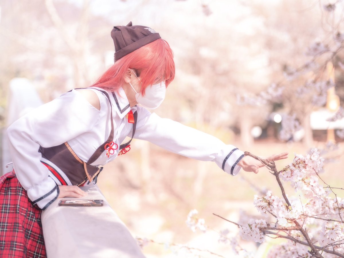 2025년 4월 양재 시민의 숲 벚꽃촬

홀로라이브 사쿠라미코🌸

📸<a href="/0kcal_gamti/">0kcal_감튀</a>