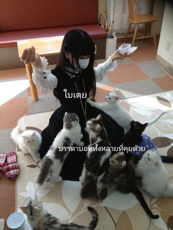 — #จะรีวิวคนที่มากดเฟบหรือรีทวิต

จิ๊กจากคุนรีมีนนนน— บอทก็เล่นได้นะฮะะะ

ขอบคุณมีมจากคุณเคเคระ (@ Premium_KEKERA)