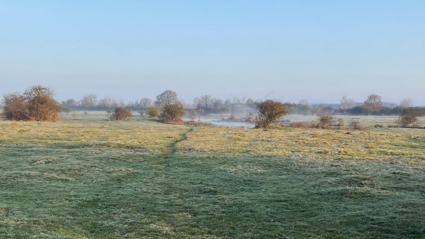 Dauwtrappen in het Maasheggengebied -  arenalokaal.nl/l/50612