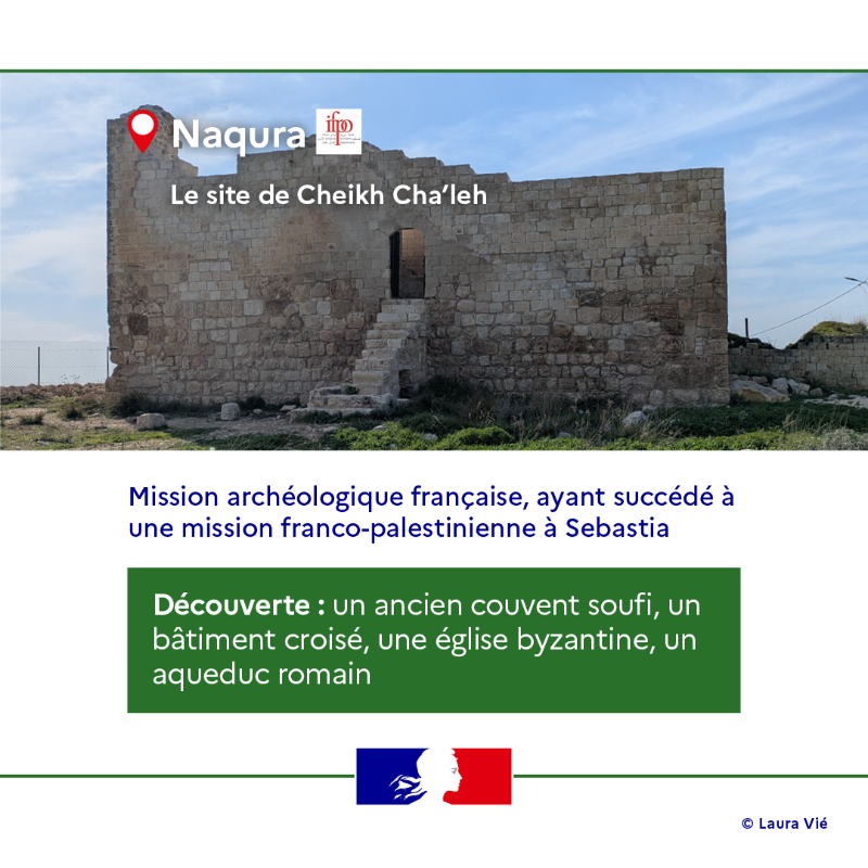 francediplo's tweet photo. 🇫🇷🤝 Préserver le patrimoine, quoiqu'il arrive.

La France agit à #Gaza pour protéger et restaurer le patrimoine culturel.

📷 Retrouvez nos actions concrètes sur le terrain : formation, soutien aux institutions locales, protection des sites menacés ⬇️