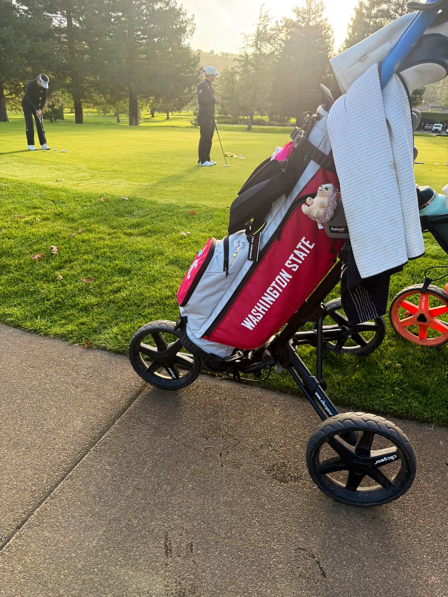 All set for Day 2️⃣ of the 𝙒𝘾𝘾 𝘾𝙝𝙖𝙢𝙥𝙞𝙤𝙣𝙨𝙝𝙞𝙥𝙨!

2ND ROUND | 18 Holes | 7:30 am

LIVE SCORING | shorturl.at/0P3H7

#GoCougs | #WAZZU