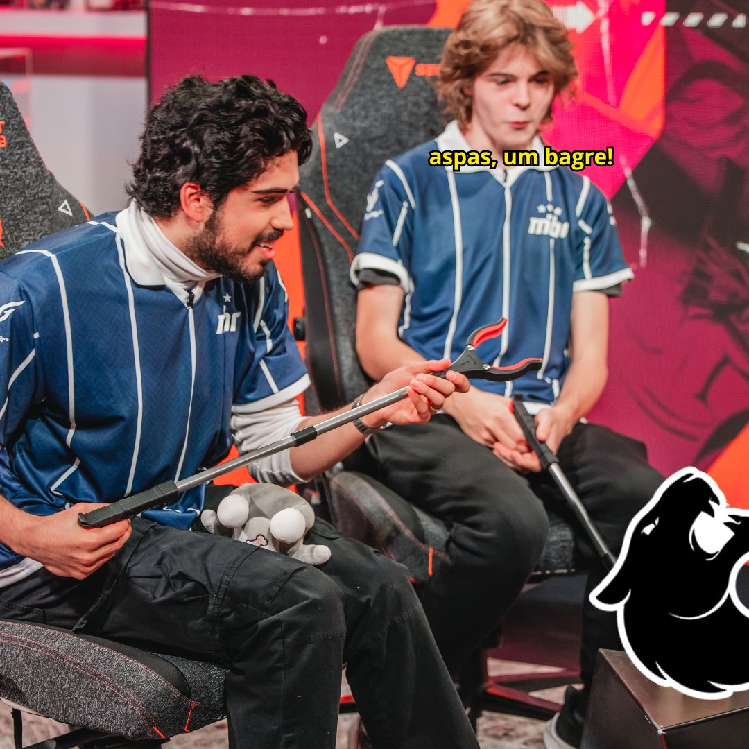 MADE IN BRAZIL. tweet media