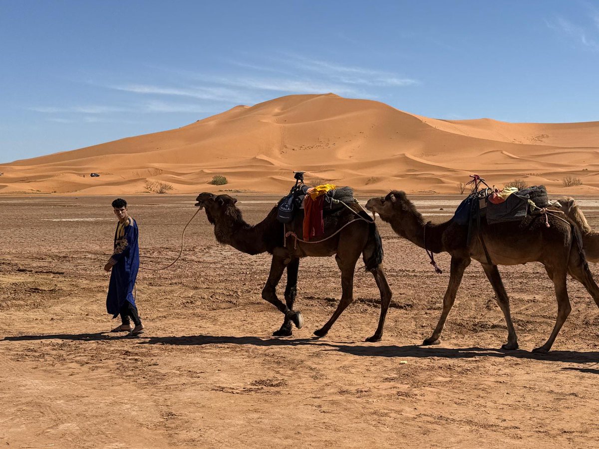 MarocRallye's tweet photo. 🏁 Jour 5 – Recos Rallye du Maroc 🏜️
Entre dunes dorées, soleil de plomb et palette de couleurs, le désert continue de nous émerveiller !✨
Le sable brûle, les moteurs ronronnent, et l'aventure continue. 💥
#rallyedumaroc #rdm25 @OfficialW2RC @visitmorocco_1 @FIMLive @fia https://t.co/DCEeV5d8No
