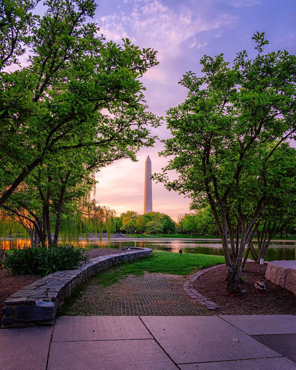 Another day, another beautiful view of the Washington Monument! 🌳 🤩

📸: adam_brockett / IG #Only1DC