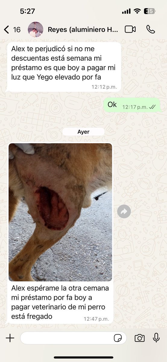 Alex_Flores_G's tweet photo. Si le creemos esta vez? O bajo la foto de internet? https://t.co/XG6smv8KRH
