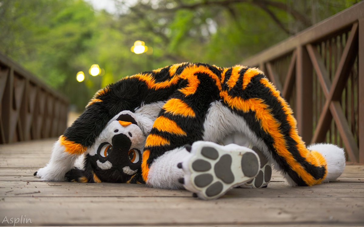 😋🧀 :&gt;
📷 <a href="/asplinduh/">Asplin</a>
#FursuitsFriday #furry #fursuit