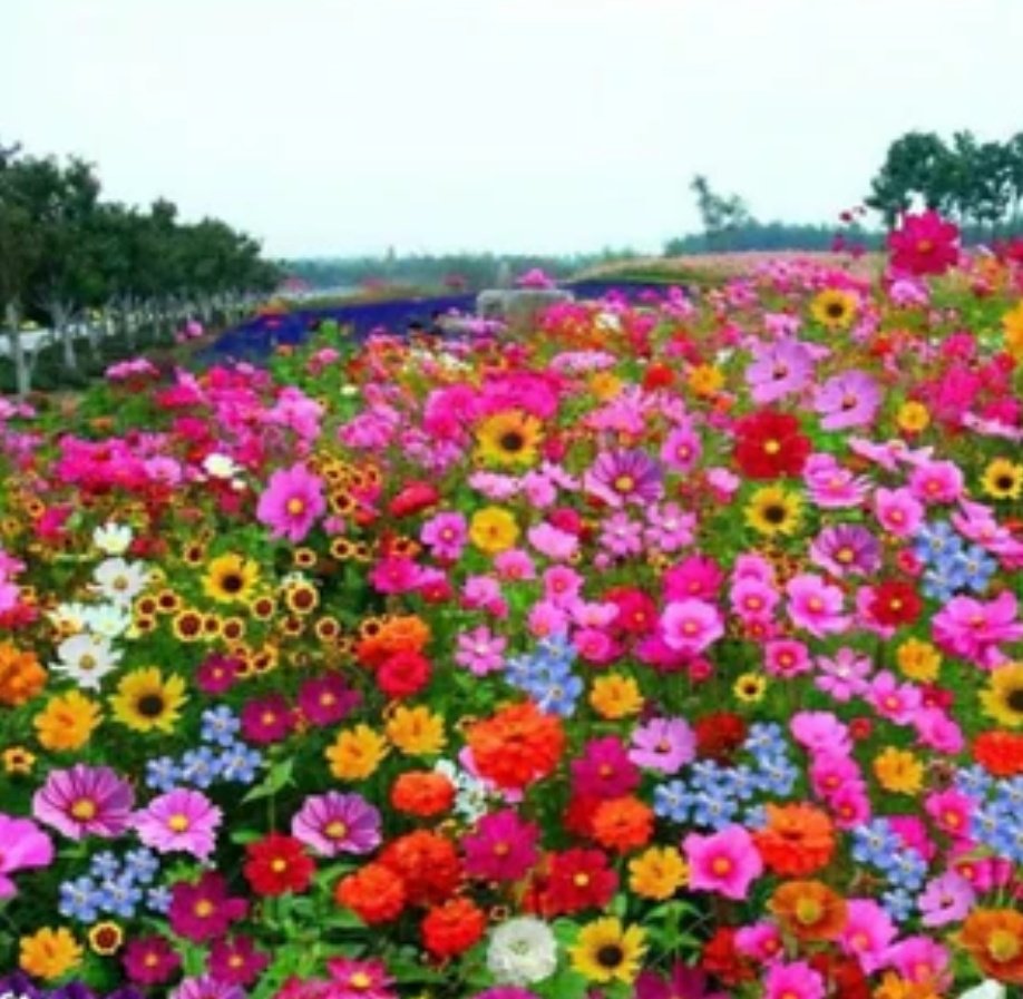 ℨ𝔢𝔢𝔰𝔥𝔞𝔫 𝔦𝔮𝔟𝔞𝔩 𝔥𝔲𝔰𝔰𝔞𝔦𝔫 tweet media