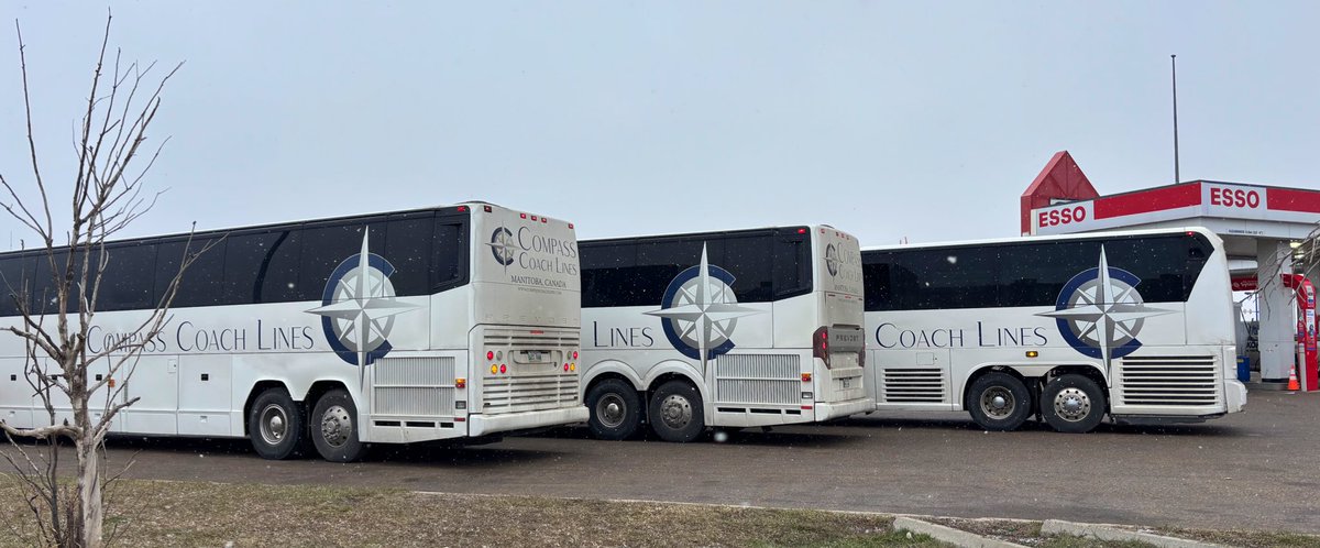 CompassCoachLtd's tweet image. Hanging out in @CityofEdmonton!

#BusCharter | #TravelByBus | #bdnmb