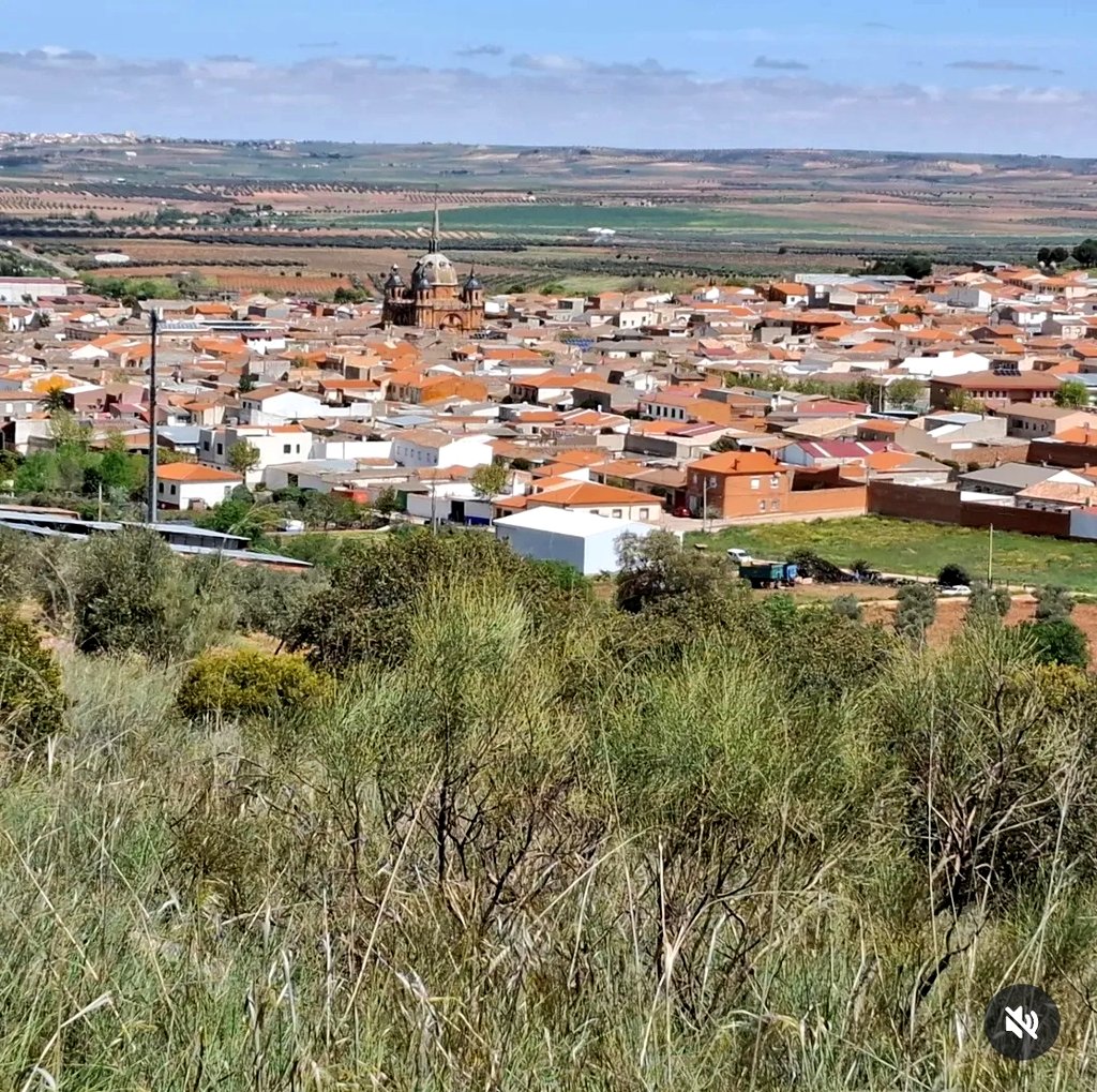 SanCarlosValle's tweet photo. Da gusto salir al campo, está espectacular, y luego almorzar comida casera en bar La Bodeguilla, en la carretera, a la espalda de la Iglesia, cerca de la @ofiturscv
¡ Os esperamos !
🤳🏼 @TesaCampos92 https://t.co/FkrDrobGVV