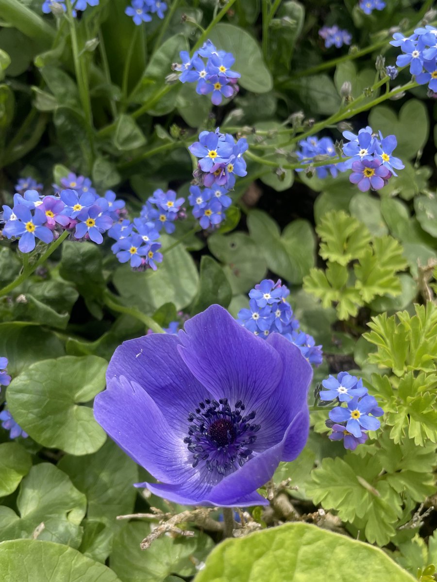 SylvainePascual's tweet photo. @arielSTRABONI @FlashTweet @Brindille_ @Monica09058845 @vanessavalence1 @PoupetLouves @tabourelgenevi1 @corynenicq @loutro1990 @CORNEVILLE @CathCervoni @ModJenn @nelbro @NilouSoyeux @CatiaDaCosta6 @annamoon_92 @AnnieLichtner @benoistart Merci @arielSTRABONI et bon week-end à tous! https://t.co/yyWY5CfvHZ