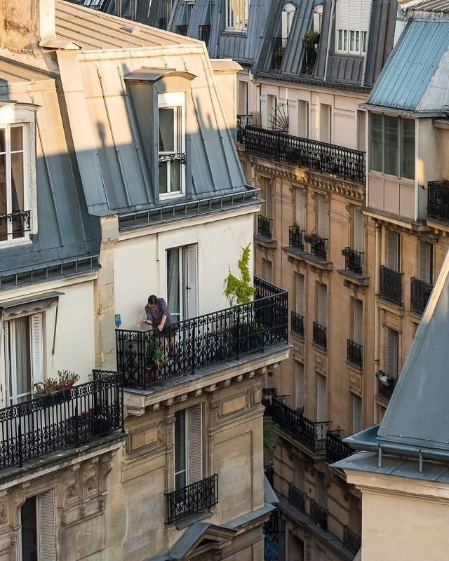 cityaestheticss tweet picture