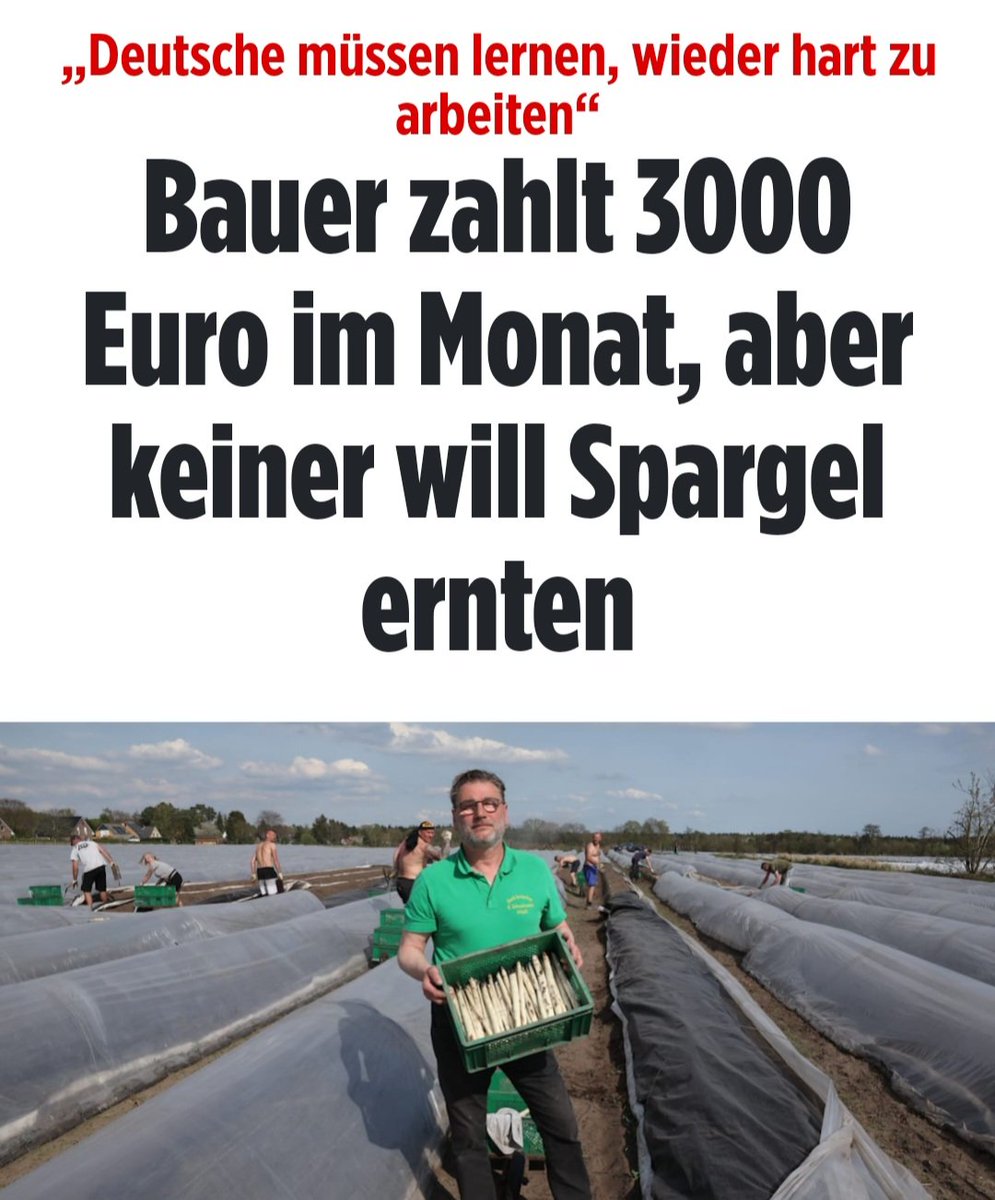 𝐙𝐮𝐤𝐮𝐧𝐟𝐭𝟑𝟕 - Bernd F. - F wie Freiheit! 🗽 tweet media