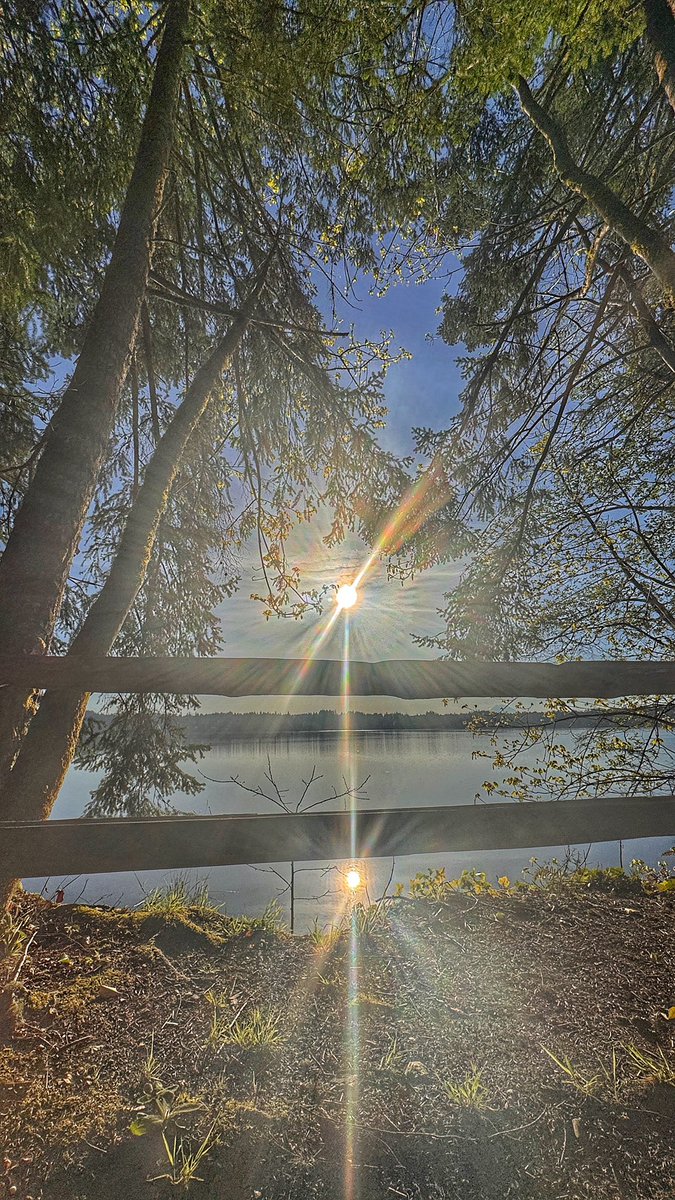 AllysonLBrooks's tweet photo. Beautiful morning reflections in the Pacific Northwest. #pnw https://t.co/ZSljJT36vO
