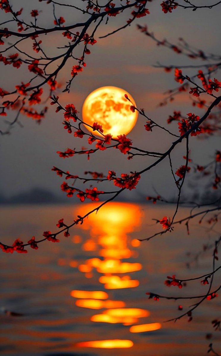 MOON LOVER (@m1onlover) on Twitter photo 