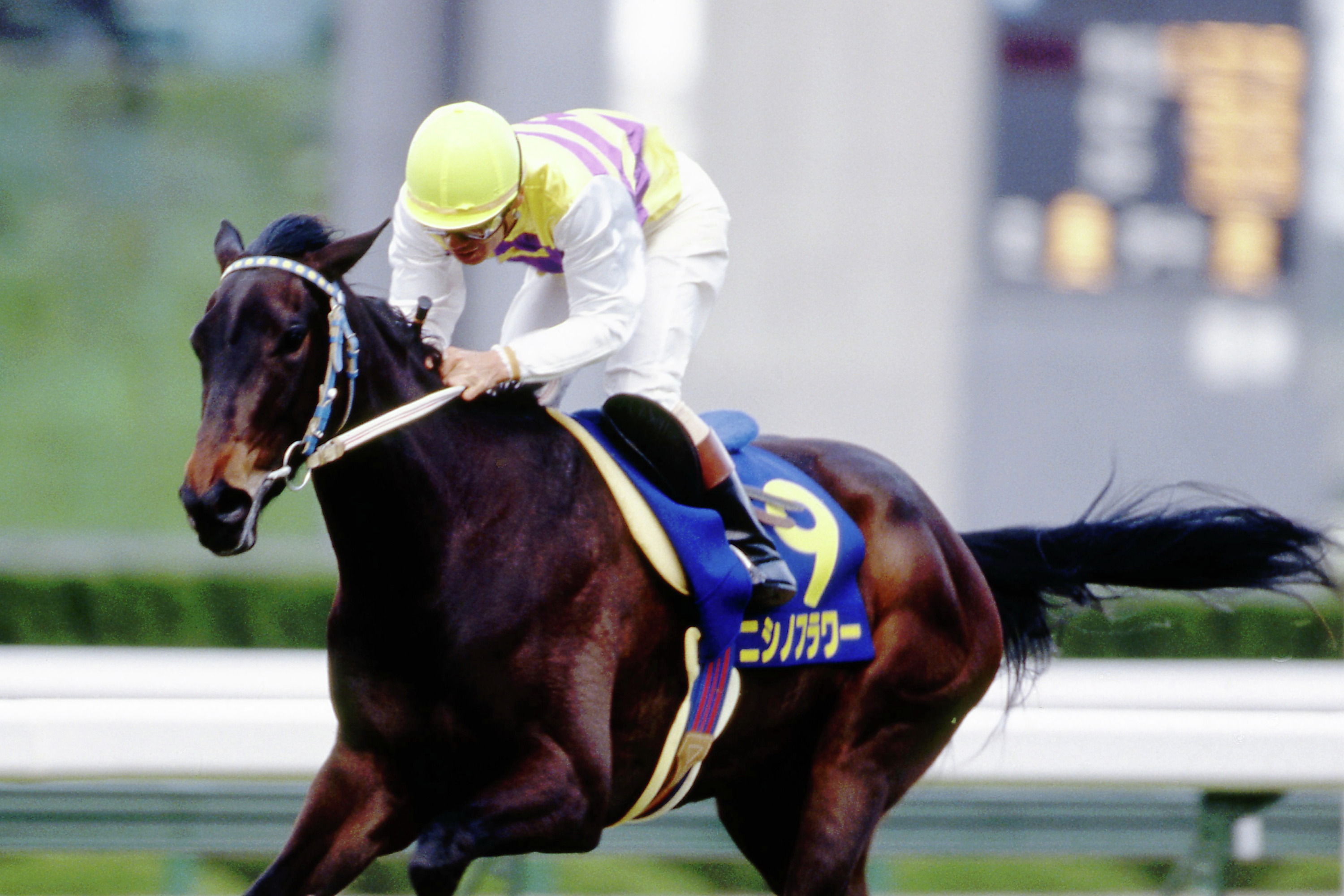 ニシノフラワー 桜花賞G1単勝馬券＆阪神競馬場入場券 - メルカリ