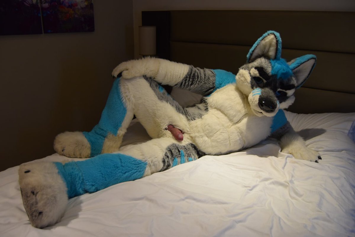 Frosting Holes tweet media