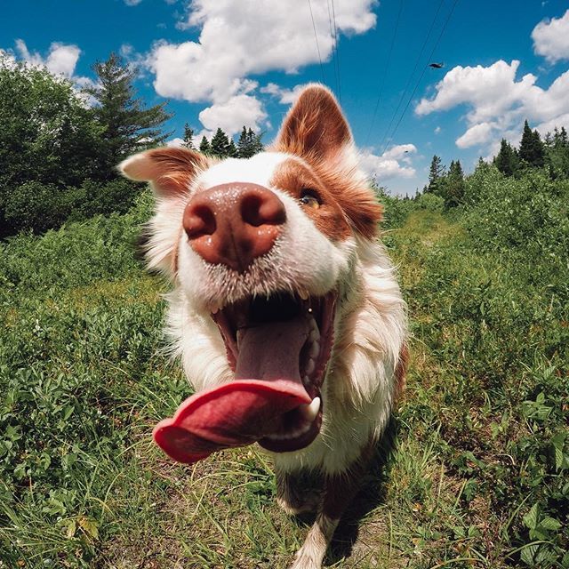 PŪNGAO ⚡️🍯 tweet media