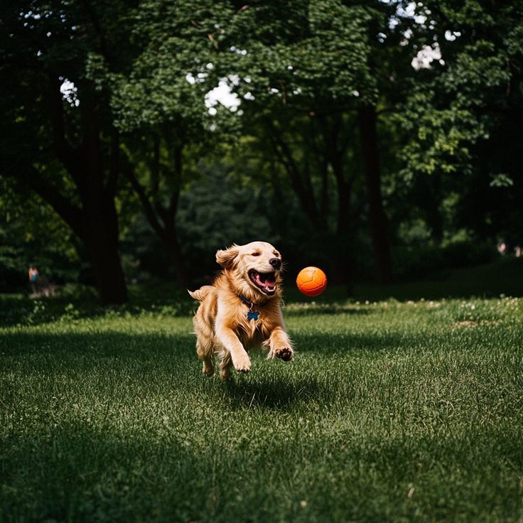 PŪNGAO ⚡️🍯 tweet media