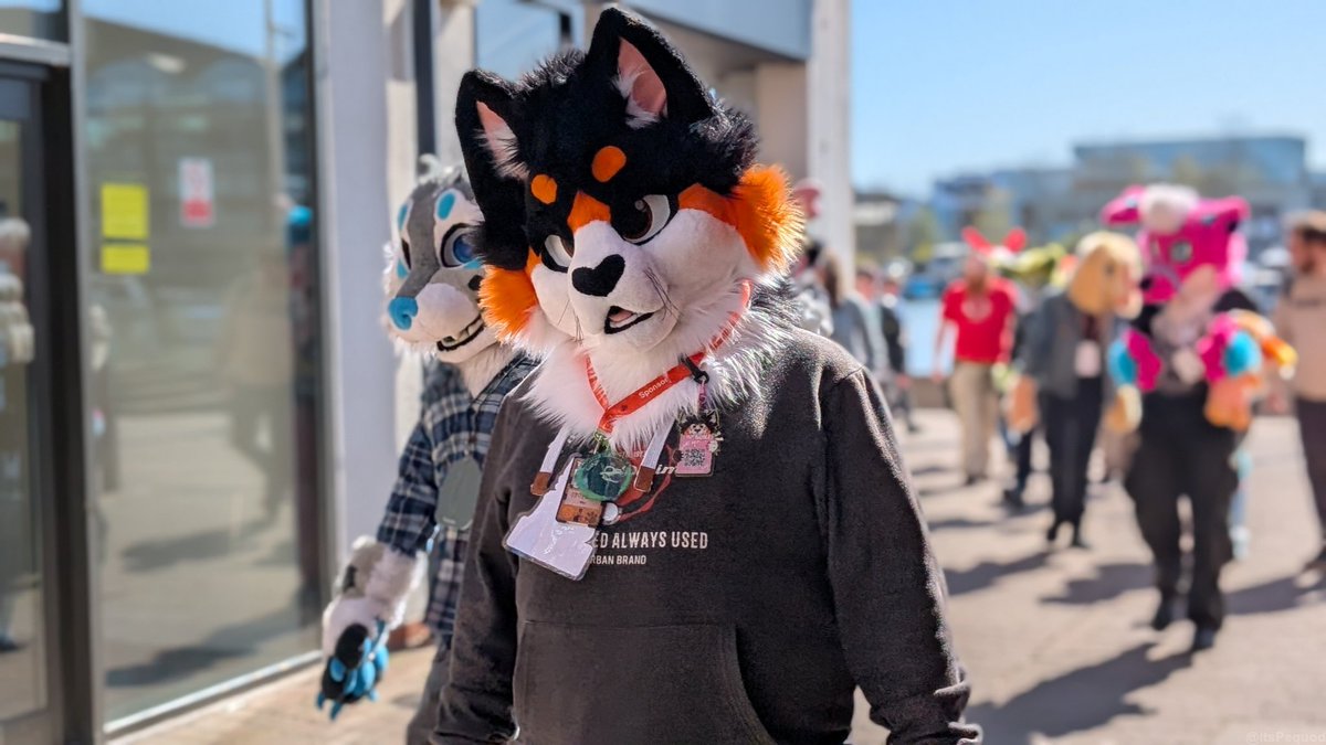 Dammm got the full gang <a href="/amber/">dead</a>-antlers (as the snep) <a href="/ky_mutt78/">Vinnie🏳️‍🌈</a> in the background been a menace and then even further back <a href="/BellsTheBunny/">BellsTheBunny</a> been a cool bunny 
Happy #FursuitFriday hope you all have a good Easter 
📸Pequod