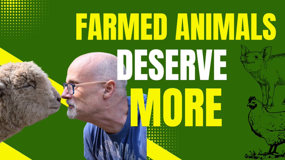 Better Life For Animals tweet media