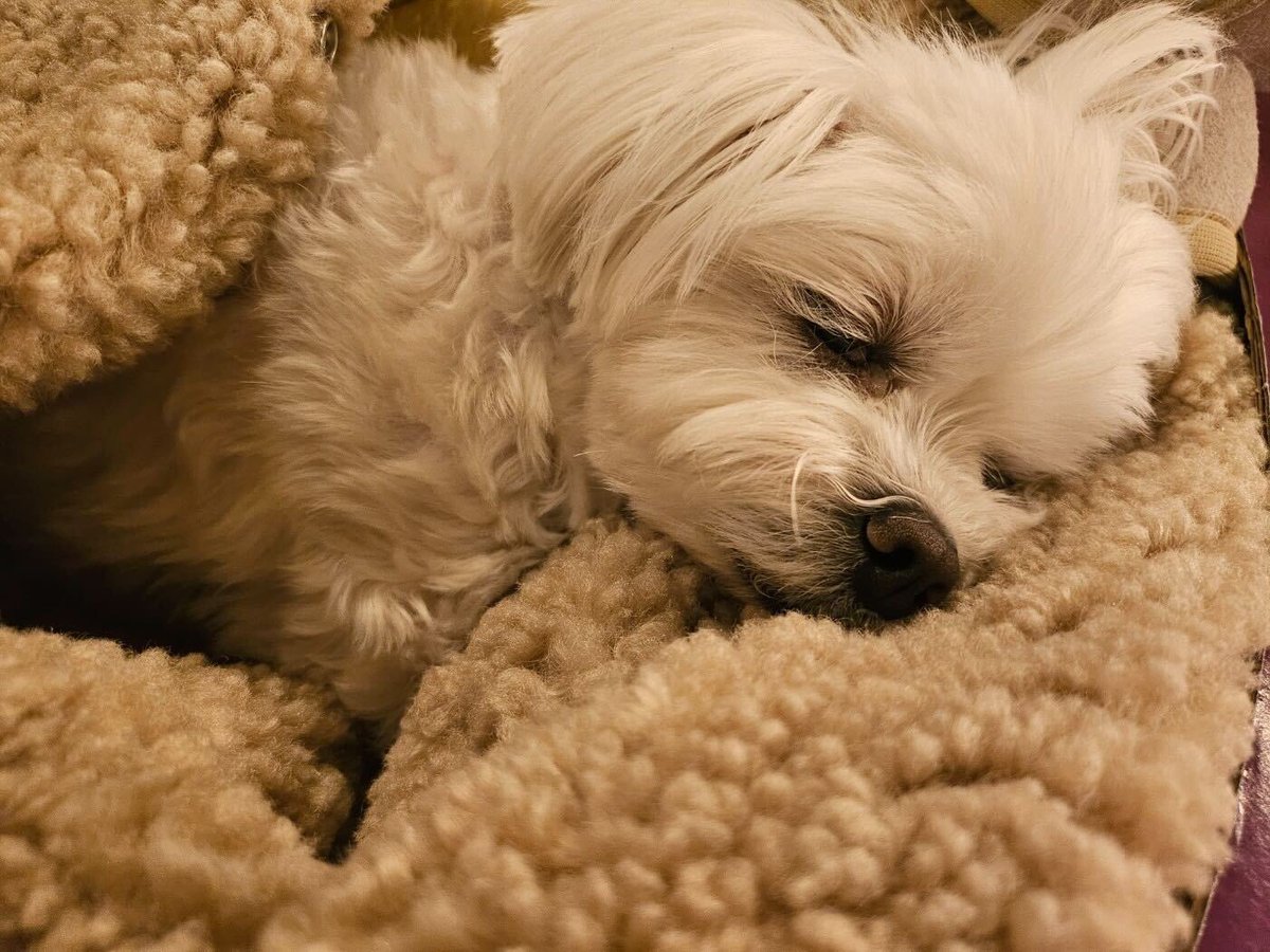 𝙨𝙩𝙖𝙮.. tweet media