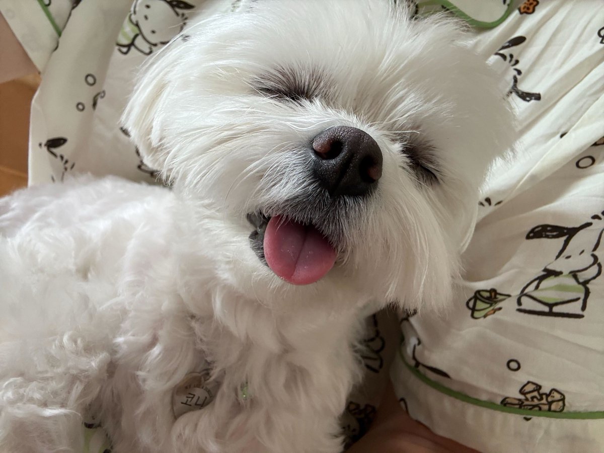 𝙨𝙩𝙖𝙮.. tweet media