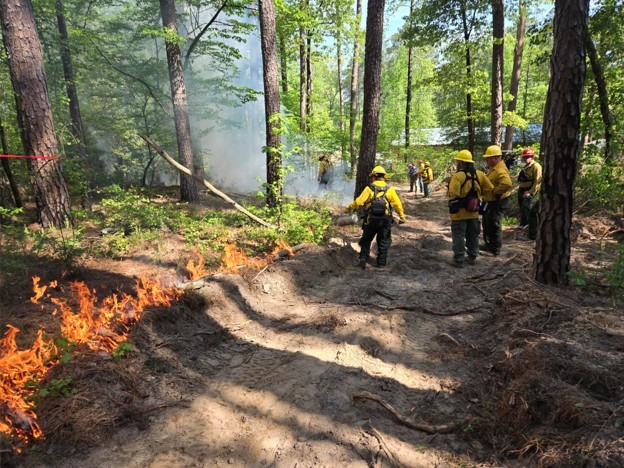 This week, we hosted a qualified prescribed burner training course at White Oak Lake State Park. The course equips landowners with the skills to plan and conduct prescribed burns safely and effectively — an essential tool for managing healthy forests and reducing wildfire risk.