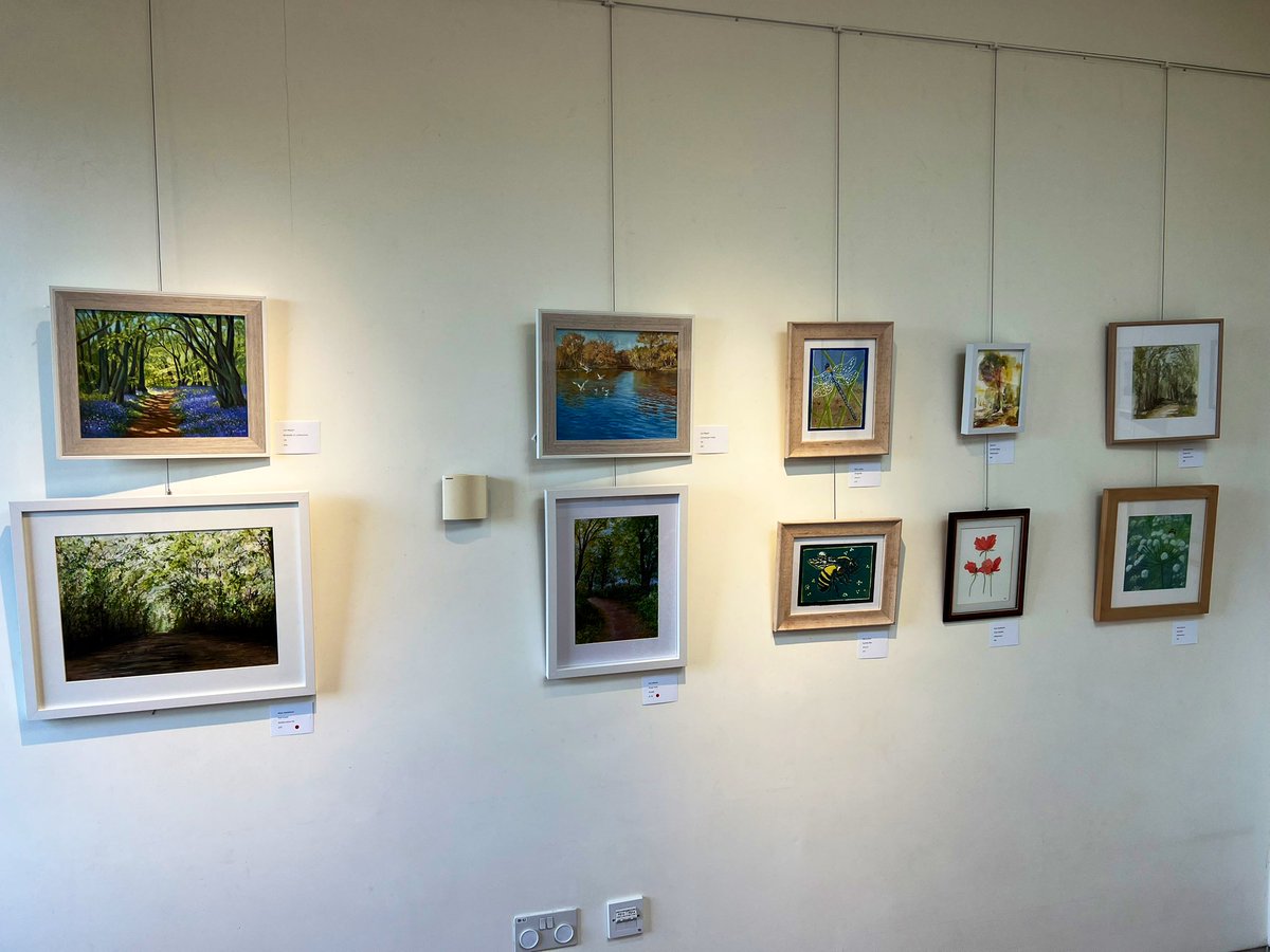 Did you know you can buy work from local artists at the #EppingForest Visitor Centre in Chingford?
🖼️The upstairs gallery current has a wide range of Forest themed artwork. Swing by and have a look for yourselves. 🌳
cityoflondon.gov.uk/things-to-do/g…