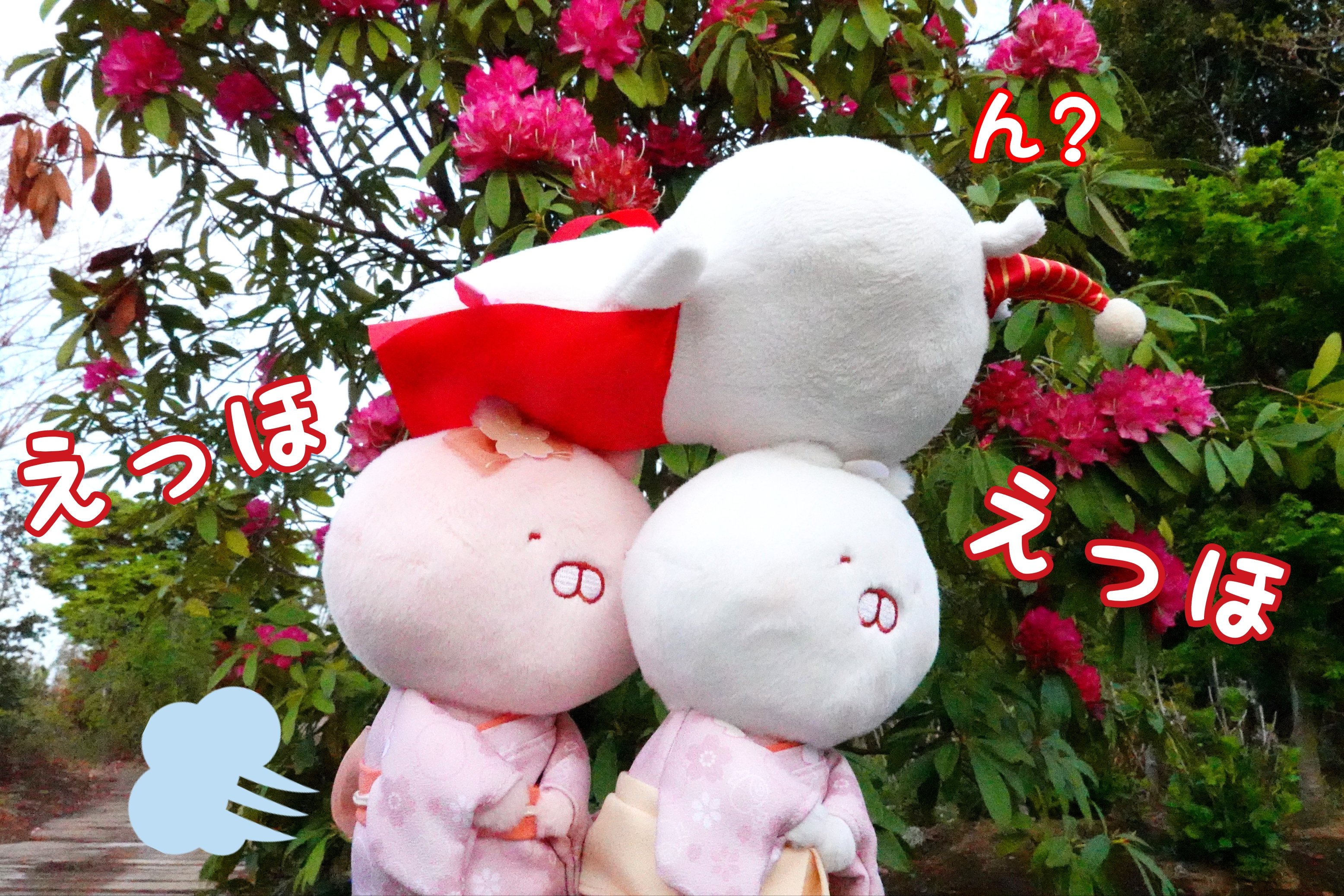 W昇龍✧フクロウさんのオルゴナイト❤おまとめ❤うさねこさま