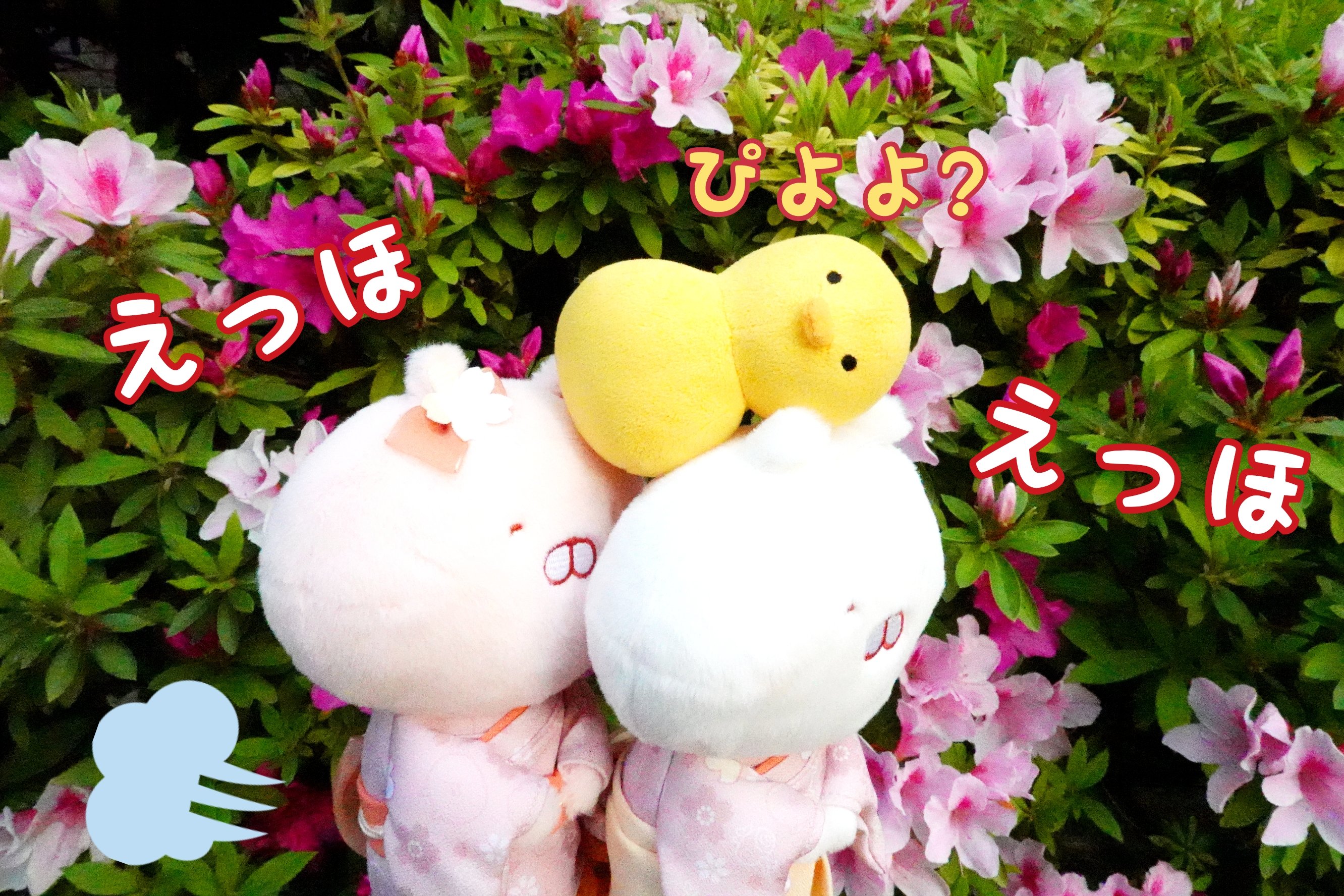 ニャオ (@nyaomic) / X