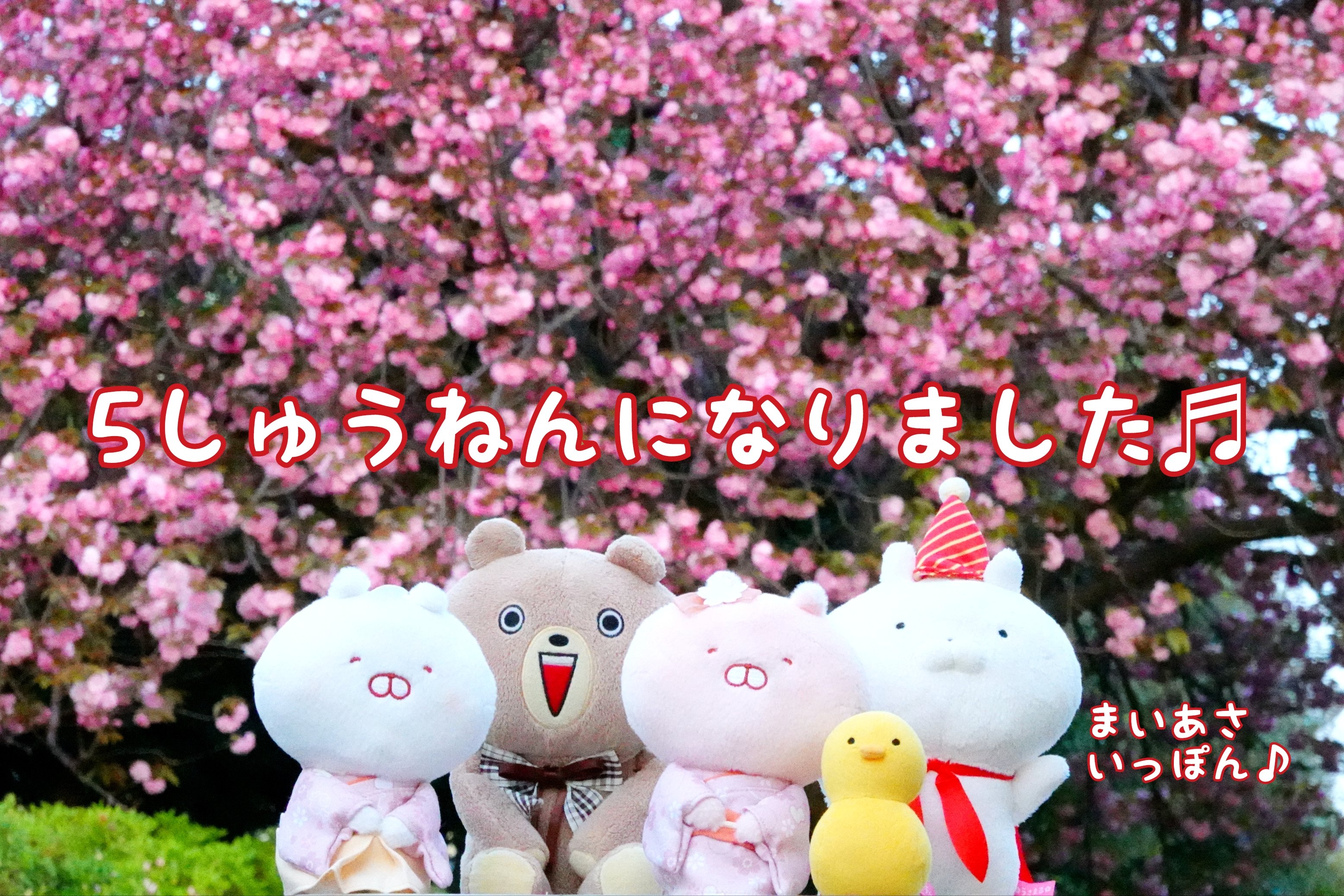 ニャオ (@nyaomic) / X