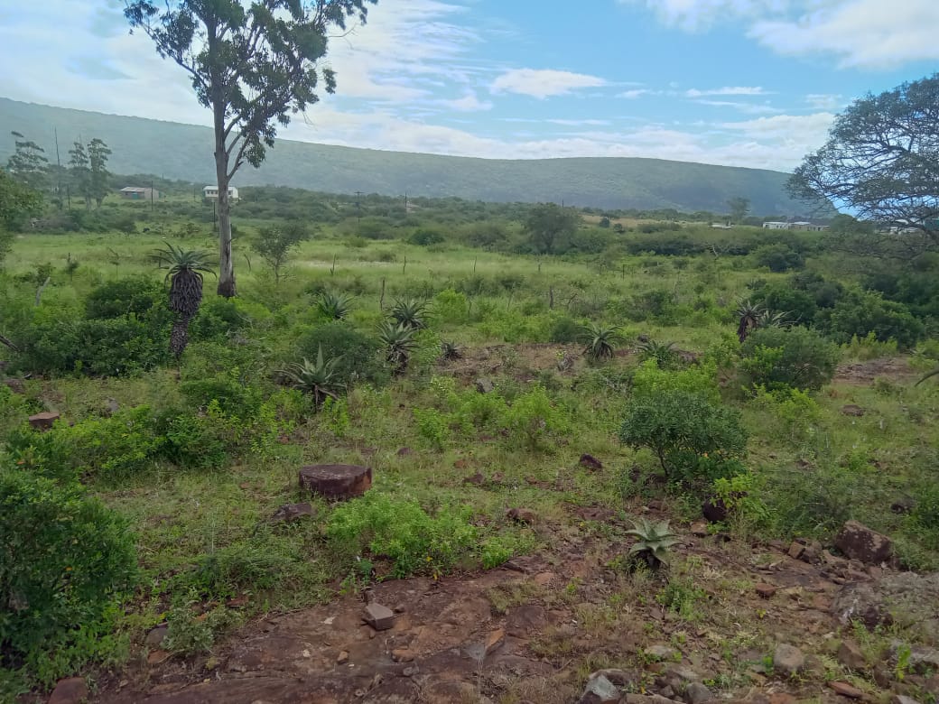 afriponics's tweet photo. One of the new areas we are looking at to boost economic growth in the area. Not far from the iconic Kosi Bay river mouth. 🤞 🐡 https://t.co/7cLfQXu4HB