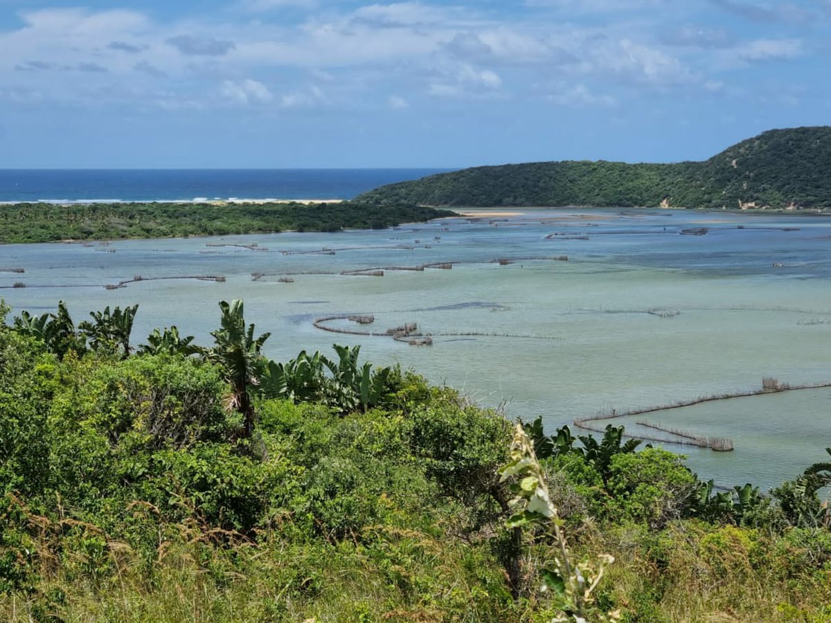 afriponics's tweet photo. One of the new areas we are looking at to boost economic growth in the area. Not far from the iconic Kosi Bay river mouth. 🤞 🐡 https://t.co/7cLfQXu4HB