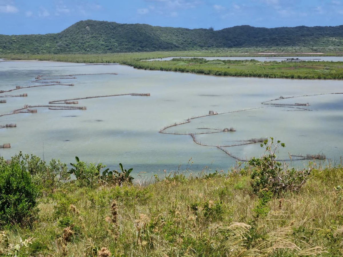 afriponics's tweet photo. One of the new areas we are looking at to boost economic growth in the area. Not far from the iconic Kosi Bay river mouth. 🤞 🐡 https://t.co/7cLfQXu4HB