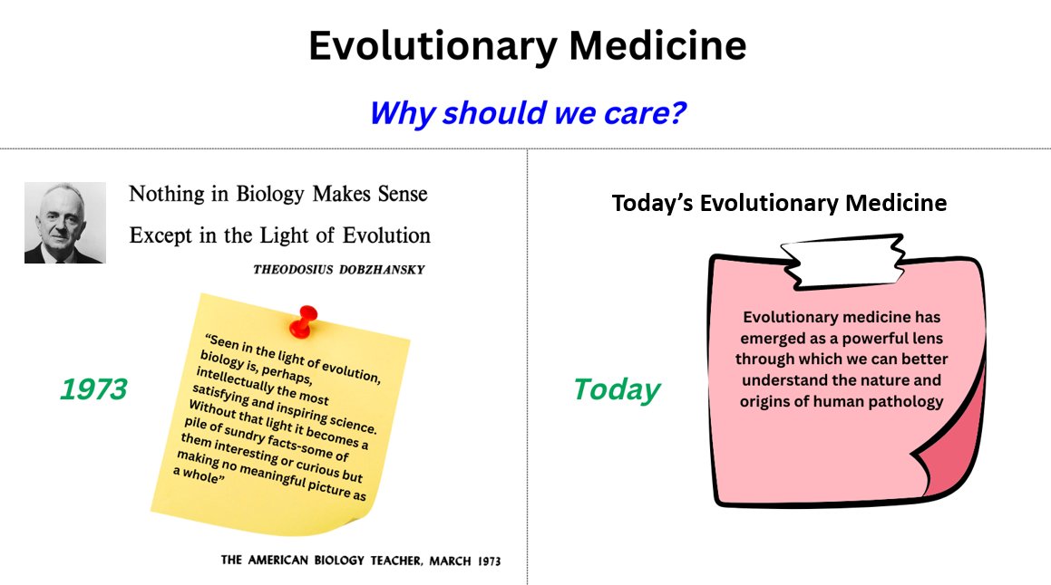 1/3

EVOLUTIONARY MEDICINE

DEFINITION: application of modern evolutionary theory to an understanding of human health and disease (WHY do we get sick?).