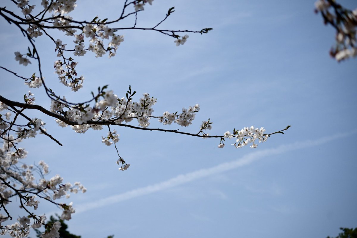 いっと (@this_is_itto) on Twitter photo 