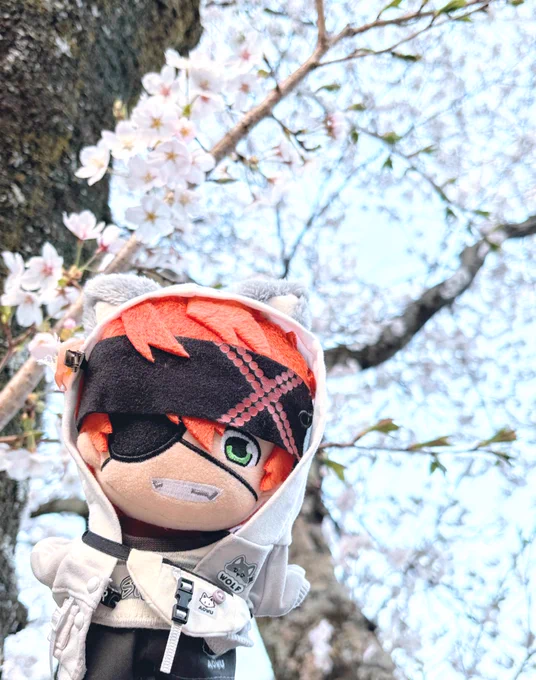あと今年は久しぶりにこっちもご一緒