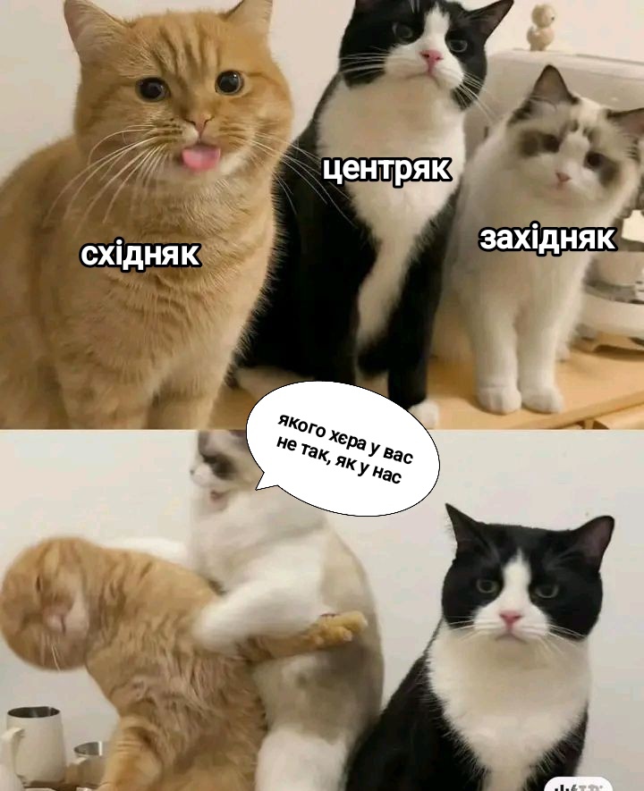 Сумське Бидло tweet media