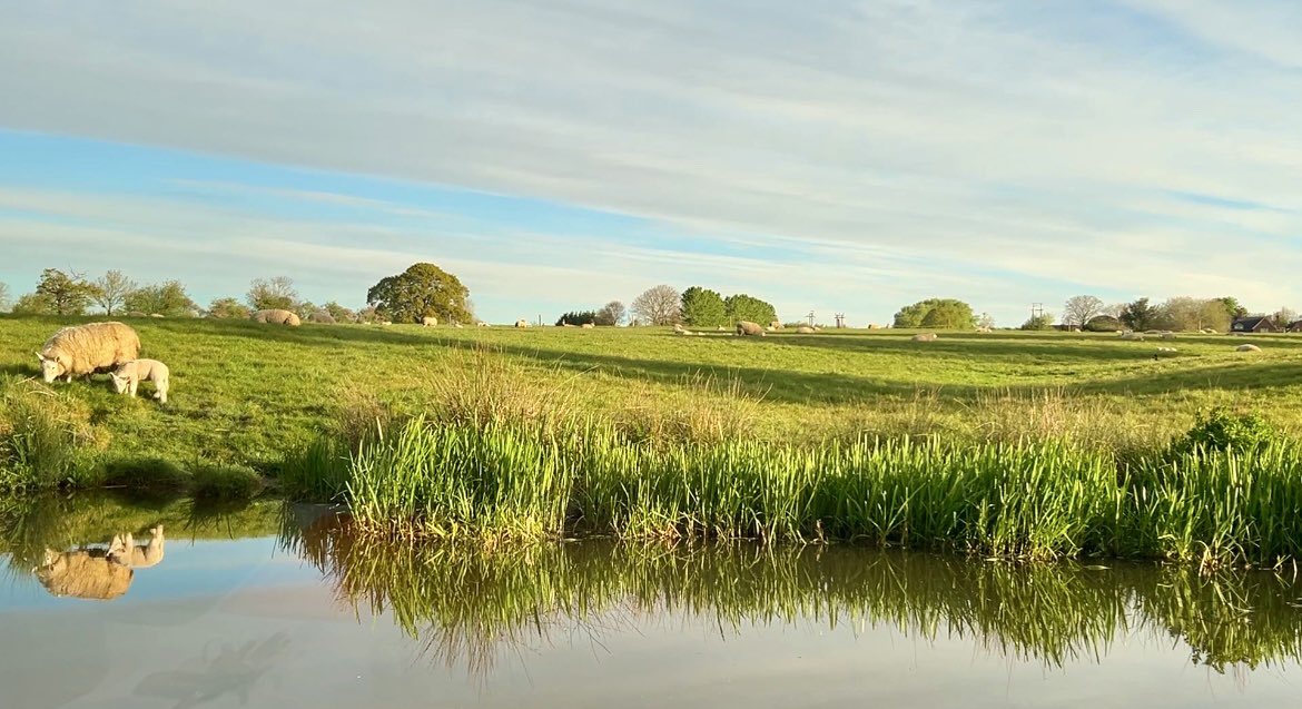 Have a lovely weekend everyone. This shot was taken on the Shropshire Union Canal near Beeston Castle. #canals #narrowboatlife #canalandrivertrust #lifesbetterbywater