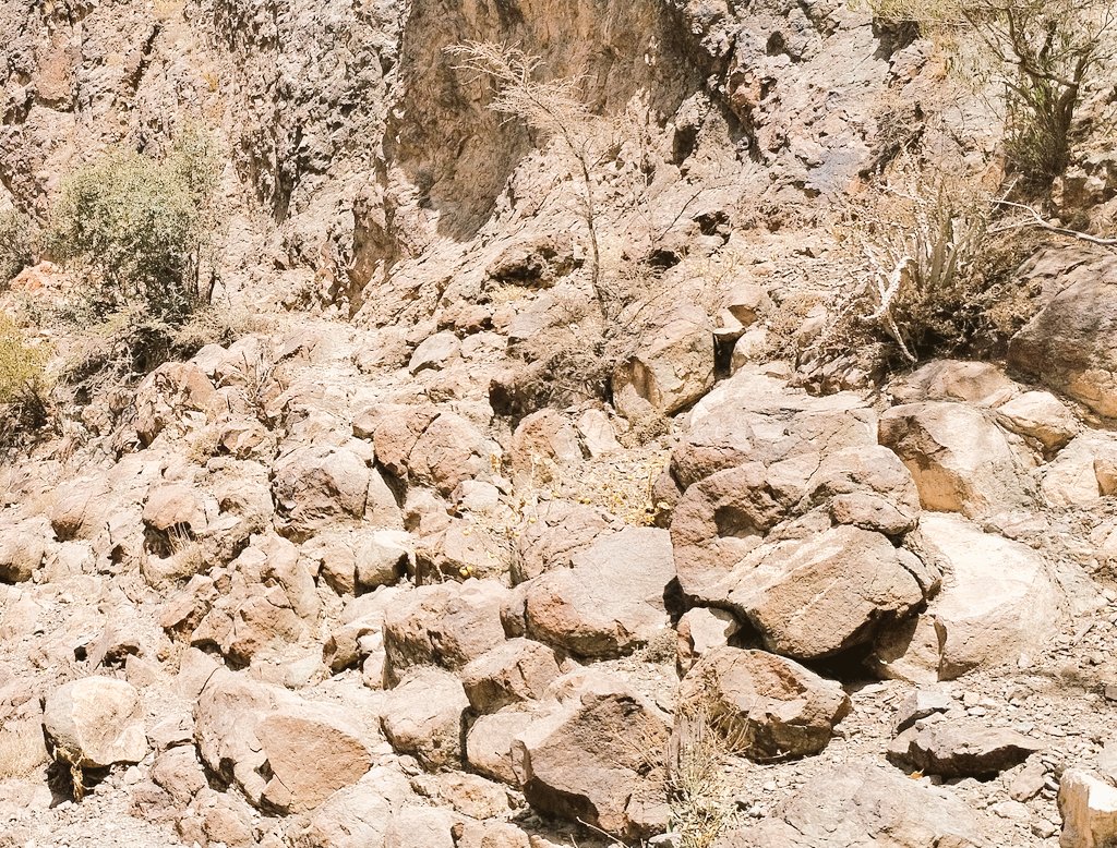 جليديات الجبل الأخضر!
رحلة ميدانية لاستكشاف و نقاش علمي حول طبقات تعود لأزمان "الكرة الأرضية الثلجية" في فالق وادي العين..حيث تشير لطابع رسوبيات نحت الثلوج
كما تتخلل هاتين الفترتين فترة براكين و وجود صخور من صهارة البازلت (الصورة الأخيرة)،وهو من المواضع البركانية النادرة في الجبل