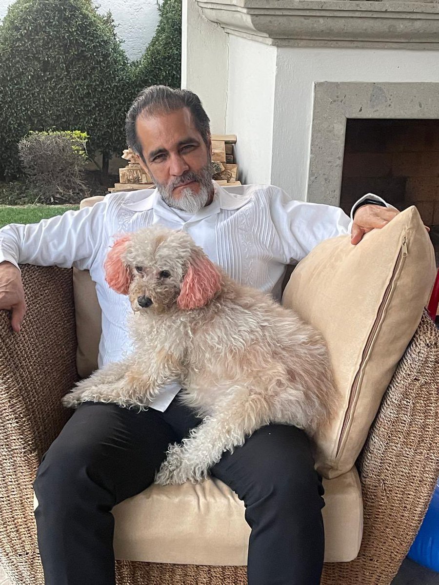 Este sí es un amor perro.