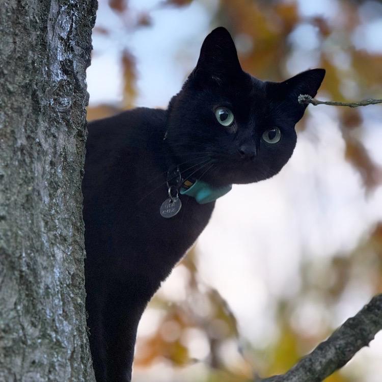 Jarrow Hall tweet media