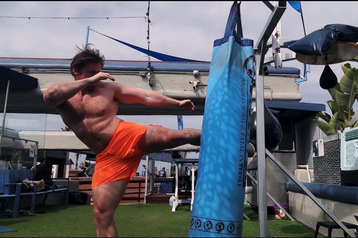 Hybrid Athlete || Elite Performance tweet media