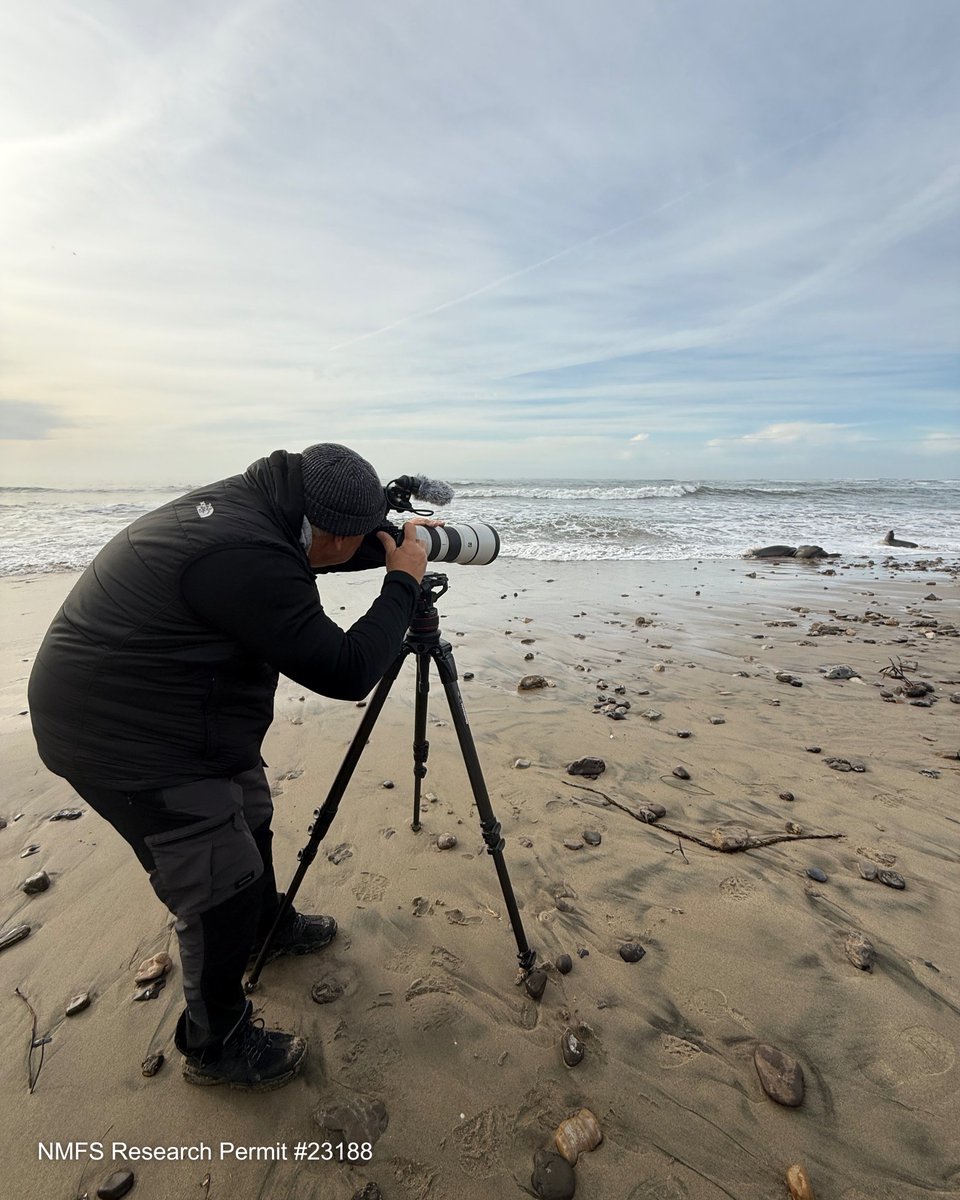Our crew recently returned from a trip to Santa Cruz, California where they filmed an epic new episode on the mighty elephant seal. New season coming this June! #behindthescenes #changingseas <a href="/WPBT2/">WPBT2</a>