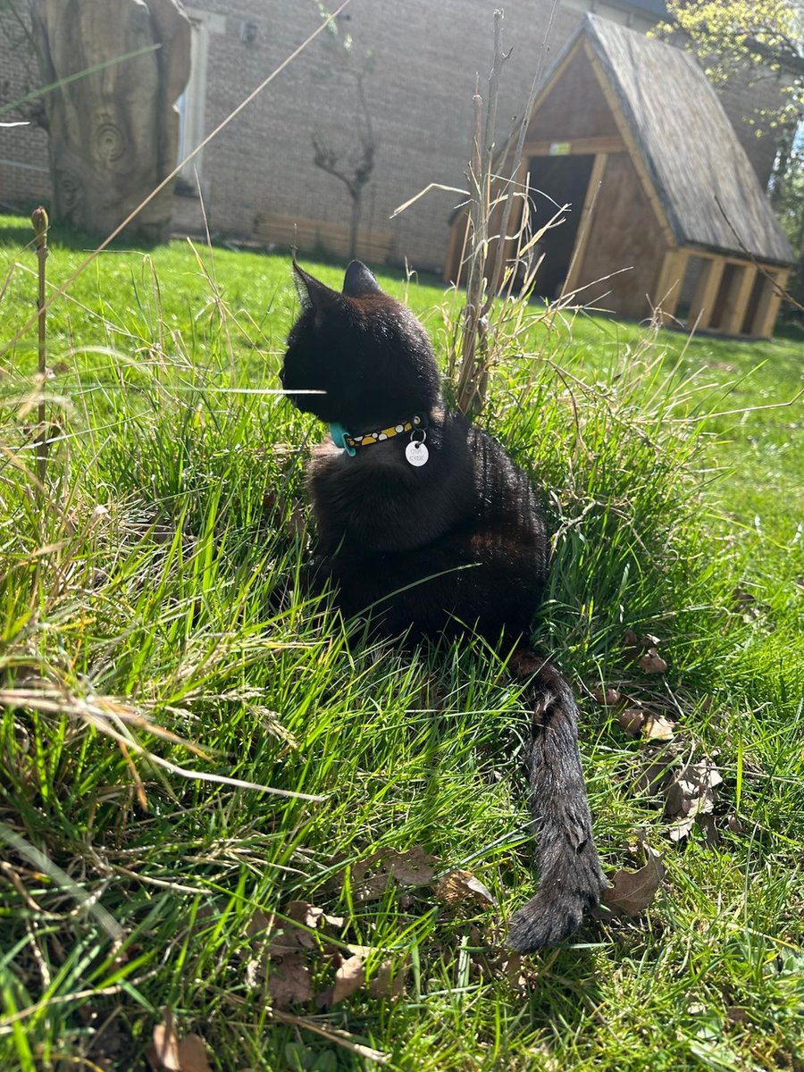 Jarrow Hall tweet media