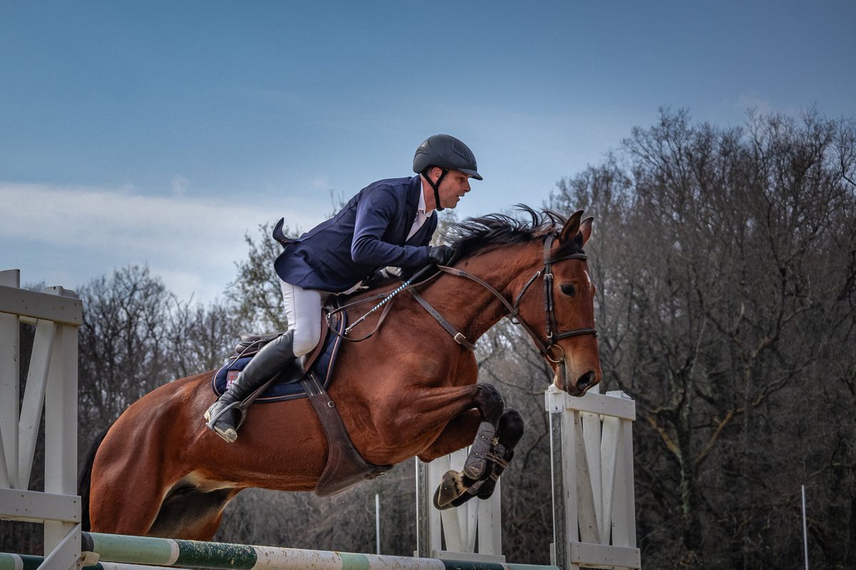 #cheval #equitation
